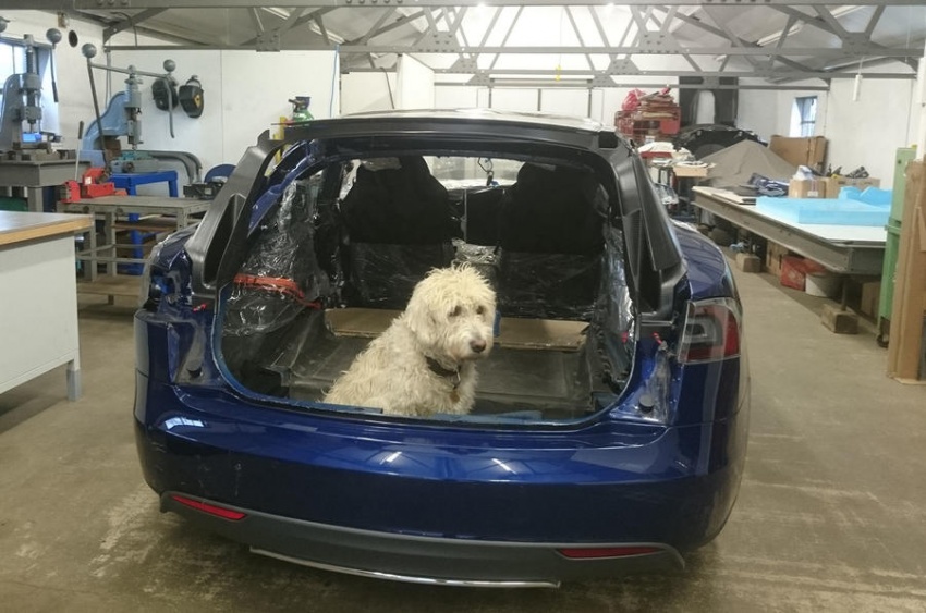 Tesla Model S wagon commissioned – space for dogs 738899