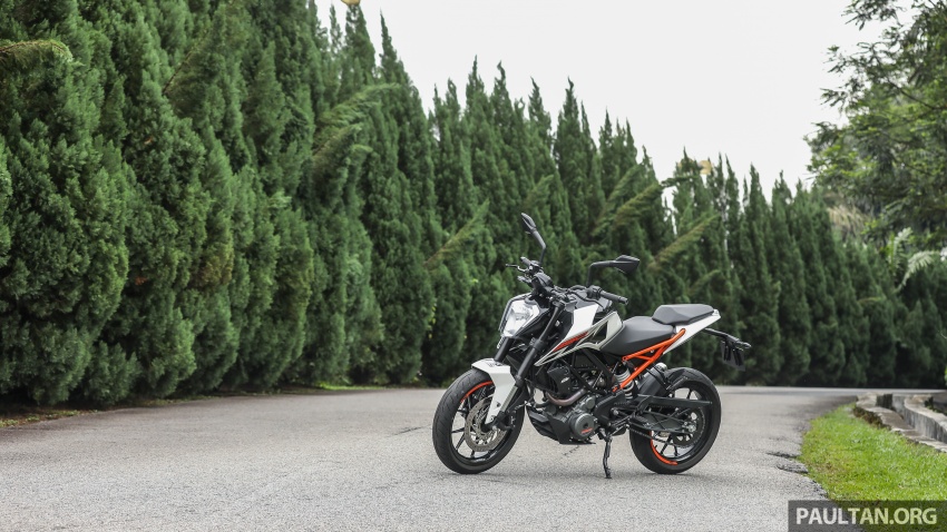 REVIEW: KTM 390/250 Duke – full-size or half pint? 750194