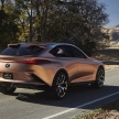 Lexus LF-1 Limitless concept unveiled at Detroit show