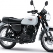 It’s 2018. Is Kawasaki Malaysia taking the retro road?
