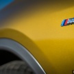 DRIVEN: F39 BMW X2 – substance beneath the looks?