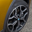 DRIVEN: F39 BMW X2 – substance beneath the looks?