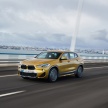 DRIVEN: F39 BMW X2 – substance beneath the looks?