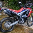TUNGGANG UJI: Honda CRF250 Rally mampu tunjuk lagak atas jalan <em>offroad</em>, santai atas jalan berturap