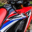 TUNGGANG UJI: Honda CRF250 Rally mampu tunjuk lagak atas jalan <em>offroad</em>, santai atas jalan berturap
