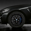 BMW M2 Coupe Edition Black Shadow gets revealed