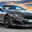 SPIED: BMW 8 Series cabrio – clearer interior photos!