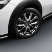 Mazda CX-3 facelift 2018 mula dijual di pasaran Jepun
