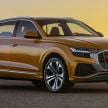 Audi Q8 officially revealed to take on the BMW X6