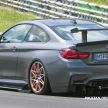 SPYSHOTS: Hardcore BMW M4 variant on test – CSL?