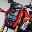 2018 Honda MSX 125 SF in new colours – RM10,499
