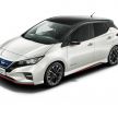 Nissan Leaf Nismo to go on sale in Japan on July 31