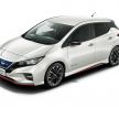 Nissan Leaf Nismo to go on sale in Japan on July 31