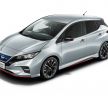Nissan Leaf Nismo to go on sale in Japan on July 31