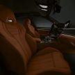 GALERI: BMW M5 Competition F90 secara terperinci
