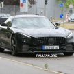 SPYSHOTS: Mercedes-AMG GT facelift gets GT C rear