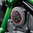Kawasaki H2 2019 – kuasa dinaik menjadi 231 PS, panel instrumen dan brek baru, cat boleh elok sendiri