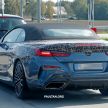SPIED: 2019 BMW 8 Series Cabriolet reveals more skin