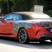 SPIED: 2019 BMW 8 Series Cabriolet reveals more skin