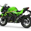 Kawasaki Z125, Ninja 125 akan diperkenal di Eropah