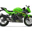 Kawasaki Z125, Ninja 125 akan diperkenal di Eropah