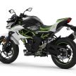 Kawasaki Z125, Ninja 125 akan diperkenal di Eropah