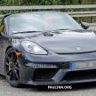 SPIED: 2019 Porsche 718 Boxster Spyder spotted