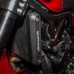 2019 Benelli Leoncino Trail scrambler, RFS150i Limited Edition kapchai and TRK 502X adventure previewed