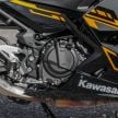 REVIEW: 2019 Kawasaki Ninja 250 – the Ninja attacks