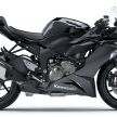 2019 Kawasaki ZX-6R revealed ahead of Vegas show