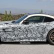 SPIED: Mercedes-AMG GT R Black Series spotted?