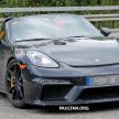 SPYSHOT: Porsche 718 Boxster Spyder 2019 dikesan