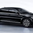 2019 Volkswagen Passat NMS debuts for China market