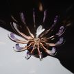 Rolls-Royce unveils ‘Spirit Of Ecstasy’ Fabergé Egg