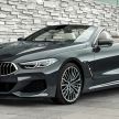 G14 BMW 8 Series Convertible – two variants, for now
