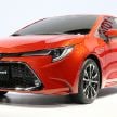 2019 Toyota Corolla sedan – US vs global spec design