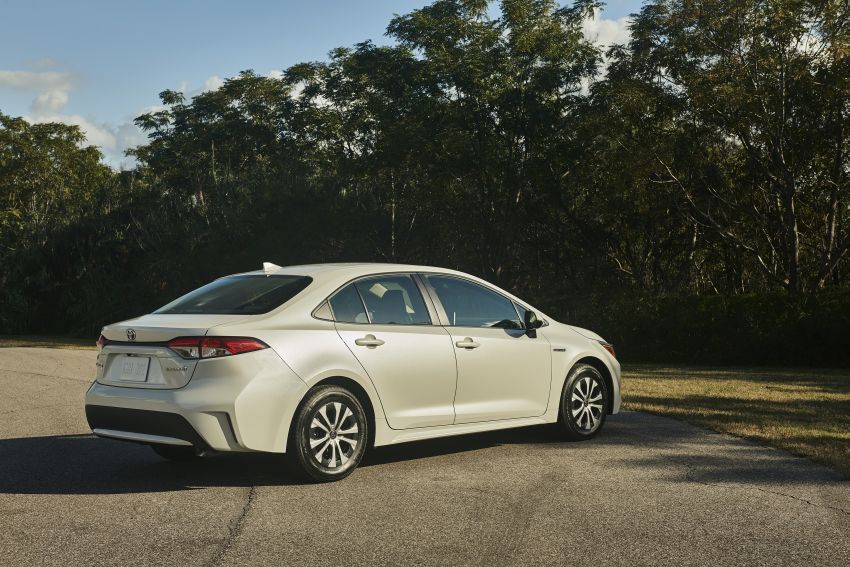 2020 Toyota Corolla Hybrid debuts at LA Auto Show 895706