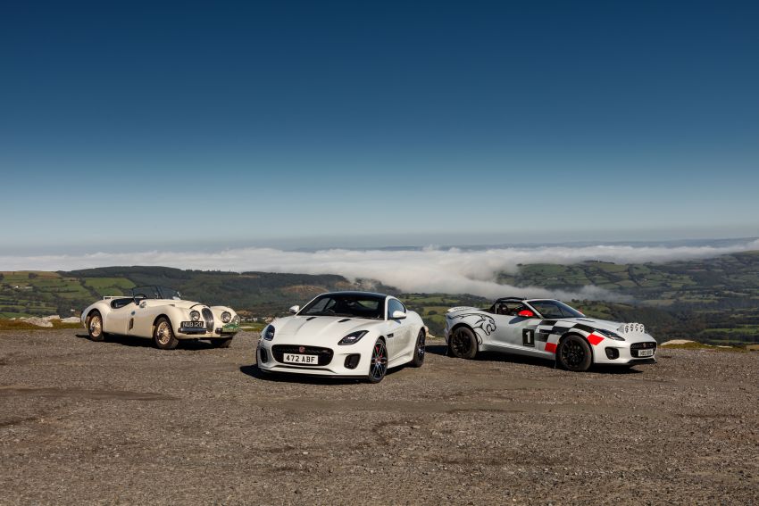 Jaguar F-Type Convertible is an unlikely rally car 887808