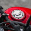 REVIEW: Benelli Leoncino – riding the 500 cc baby lion