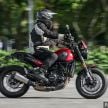 REVIEW: Benelli Leoncino – riding the 500 cc baby lion