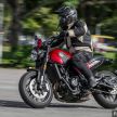 REVIEW: Benelli Leoncino – riding the 500 cc baby lion