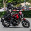 REVIEW: Benelli Leoncino – riding the 500 cc baby lion