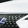 Lexus UX receives a range of Modellista parts in Japan