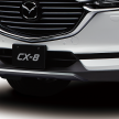 Mazda MX-5 Drop-Head Coupe Concept, Mazda 3, CX-5 and CX-8 Custom Style for Tokyo Auto Salon 2019