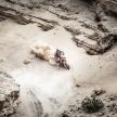 2019 Dakar Rally: KTM Red Bull takes 18th victory – Australian Toby Price grabs overall win despite injury