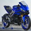 2019 Yamaha YZF-R3 gets official accessories – pricing in US starts from USD 4,999 (RM20,566)