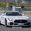 Mercedes-AMG GT R Roadster hinted via document