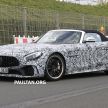 Mercedes-AMG GT R Roadster hinted via document