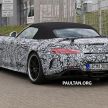Mercedes-AMG GT R Roadster hinted via document