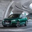 Audi SQ5 TDI makes its debut with 347 PS and 700 Nm
